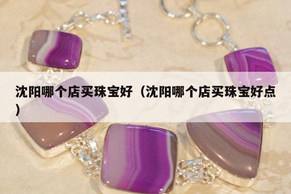 沈阳哪个店买珠宝好（沈阳哪个店买珠宝好点）