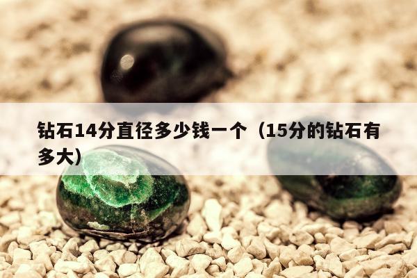 钻石14分直径多少钱一个（15分的钻石有多大）