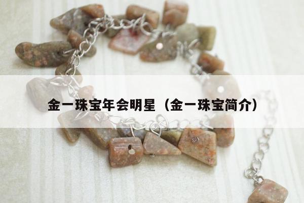 金一珠宝年会明星（金一珠宝简介）