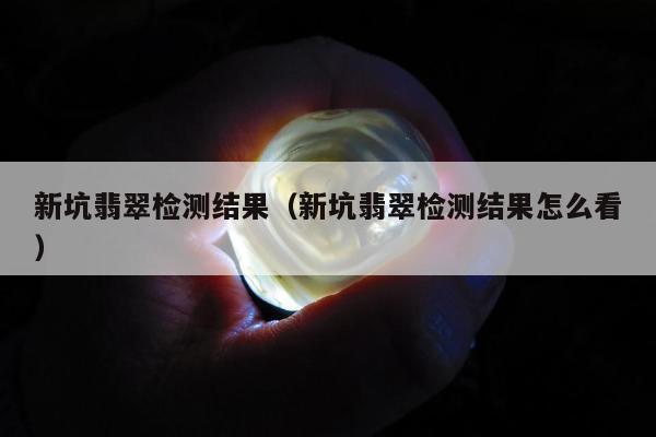 新坑翡翠检测结果（新坑翡翠检测结果怎么看）
