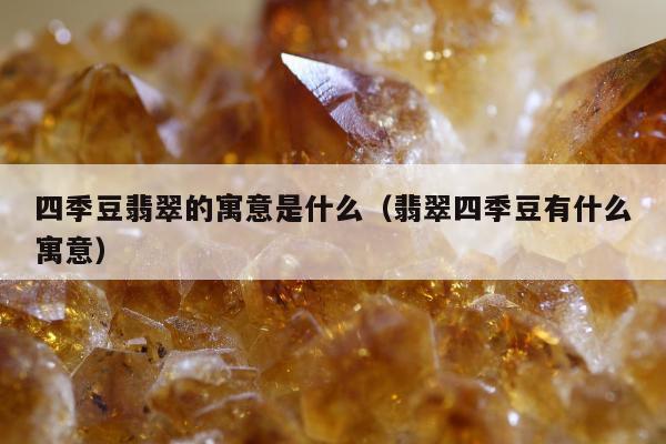 四季豆翡翠的寓意是什么（翡翠四季豆有什么寓意）
