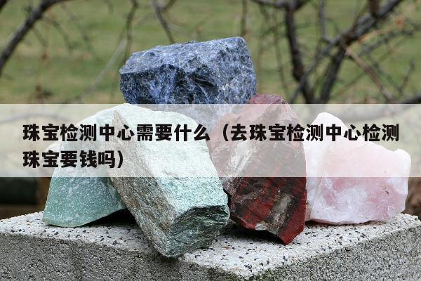 珠宝检测中心需要什么（去珠宝检测中心检测珠宝要钱吗）