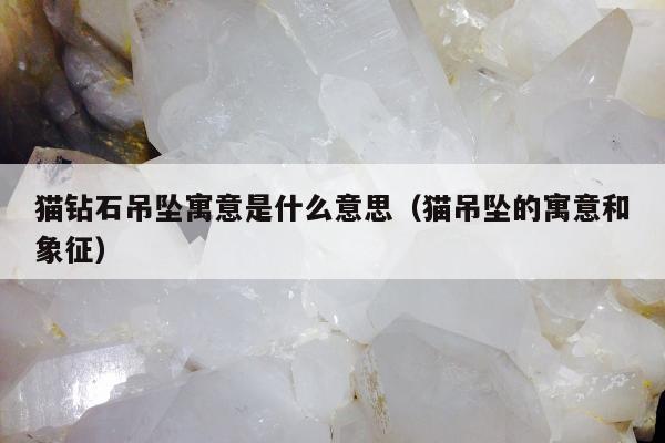 猫钻石吊坠寓意是什么意思（猫吊坠的寓意和象征）