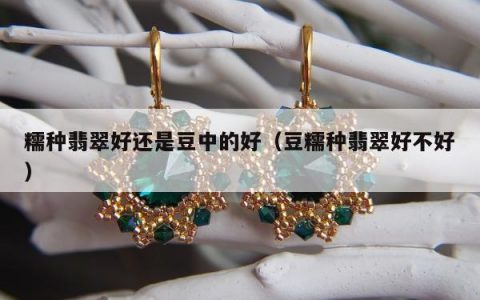 糯种翡翠好还是豆中的好（豆糯种翡翠好不好）