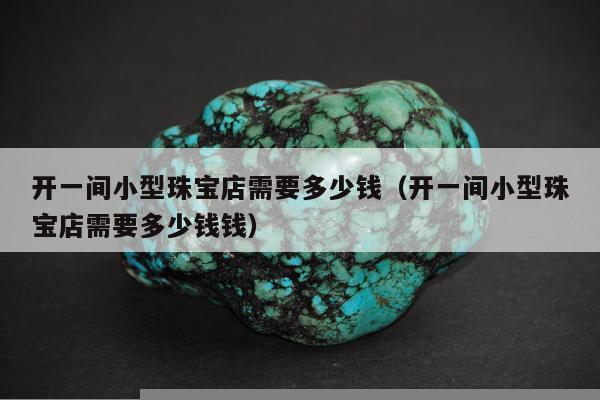 开一间小型珠宝店需要多少钱（开一间小型珠宝店需要多少钱钱）