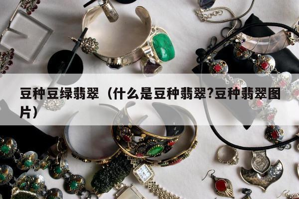 豆种豆绿翡翠（什么是豆种翡翠?豆种翡翠图片）