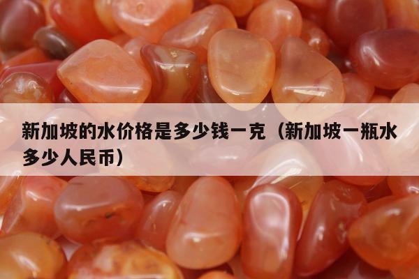 新加坡的水价格是多少钱一克（新加坡一瓶水多少人民币）