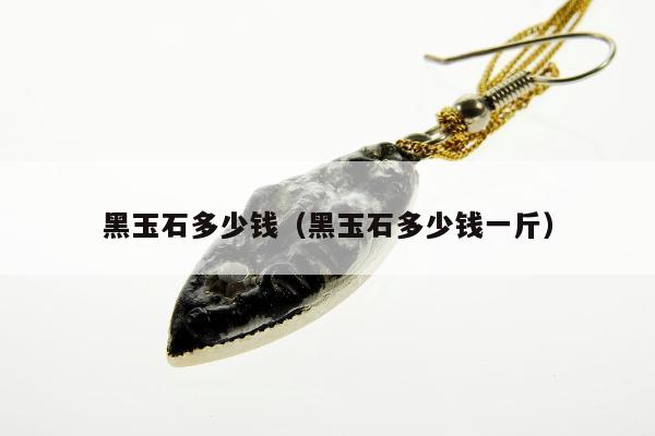 黑玉石多少钱（黑玉石多少钱一斤）