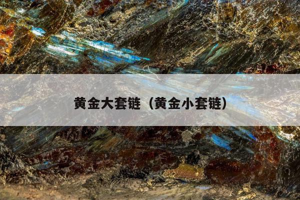 黄金大套链（黄金小套链）