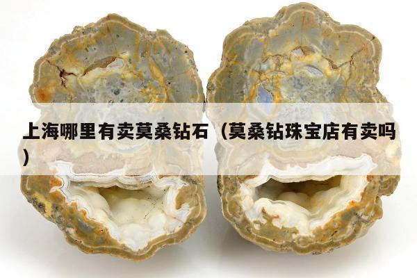 上海哪里有卖莫桑钻石（莫桑钻珠宝店有卖吗）