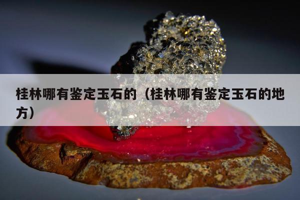 桂林哪有鉴定玉石的（桂林哪有鉴定玉石的地方）