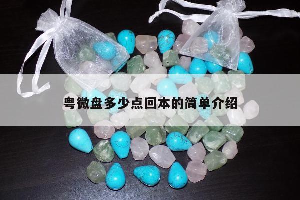 粤微盘多少点回本的简单介绍
