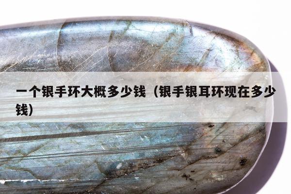 一个银手环大概多少钱（银手银耳环现在多少钱）