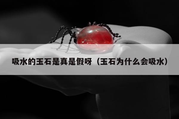 吸水的玉石是真是假呀（玉石为什么会吸水）