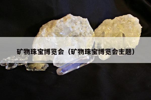 矿物珠宝博览会（矿物珠宝博览会主题）