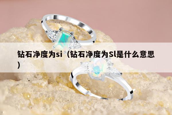 钻石净度为si（钻石净度为Sl是什么意思）