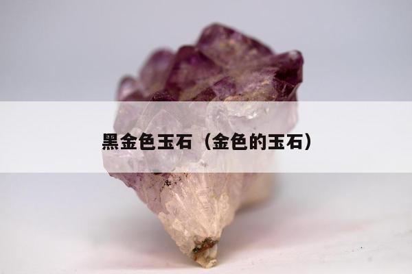 黑金色玉石（金色的玉石）