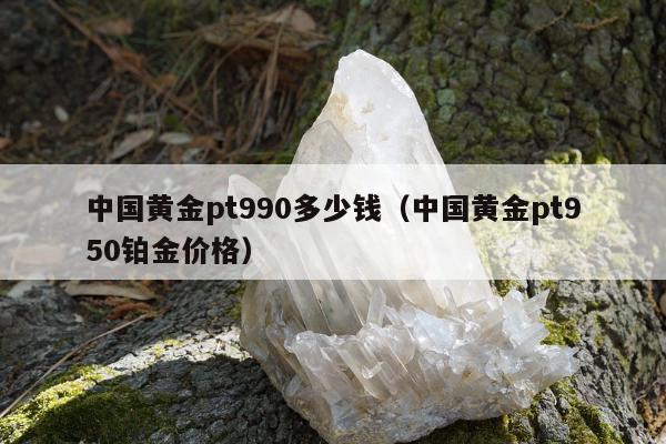 中国黄金pt990多少钱（中国黄金pt950铂金价格）