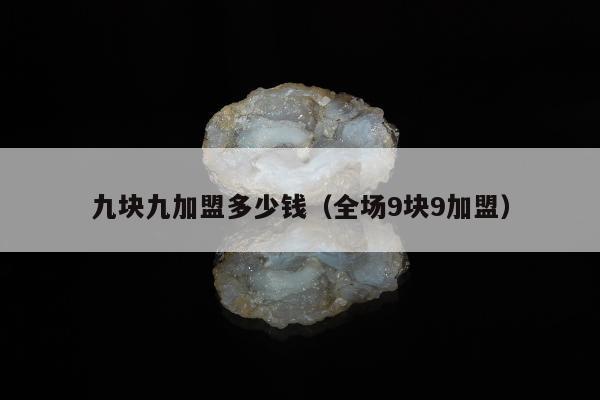 九块九加盟多少钱（全场9块9加盟）