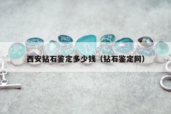 西安钻石鉴定多少钱（钻石鉴定网）