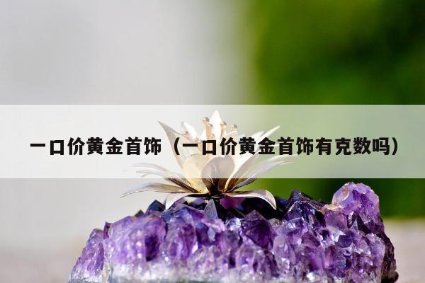 一口价黄金首饰（一口价黄金首饰有克数吗）