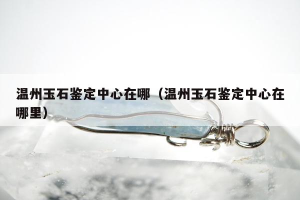 温州玉石鉴定中心在哪（温州玉石鉴定中心在哪里）