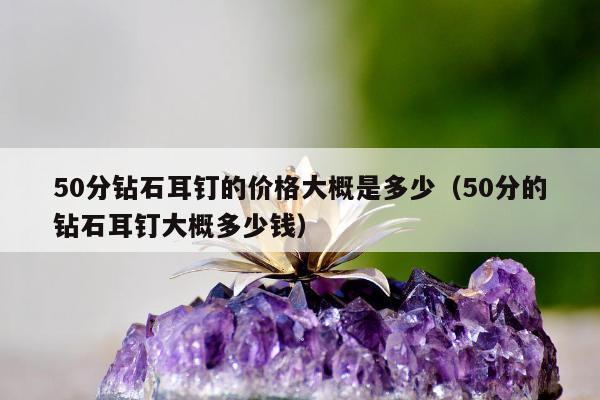 0分钻石耳钉的价格大概是多少（50分的钻石耳钉大概多少钱）"