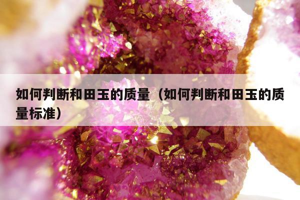 如何判断和田玉的质量（如何判断和田玉的质量标准）
