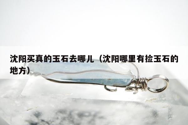 沈阳买真的玉石去哪儿（沈阳哪里有捡玉石的地方）