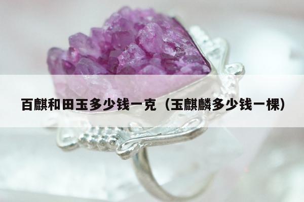 百麒和田玉多少钱一克（玉麒麟多少钱一棵）