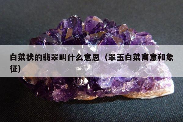 白菜状的翡翠叫什么意思（翠玉白菜寓意和象征）