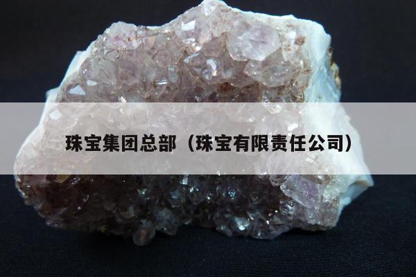 珠宝集团总部（珠宝有限责任公司）