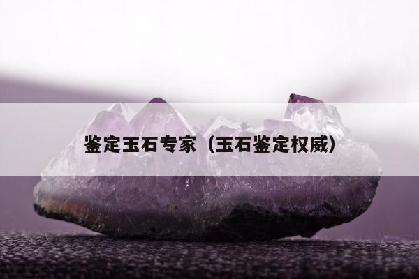 鉴定玉石专家（玉石鉴定权威）