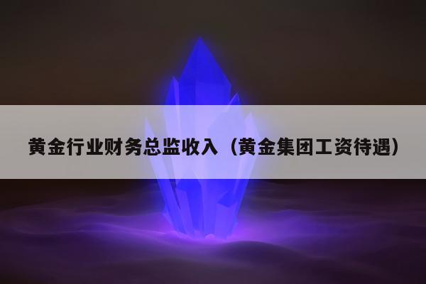 黄金行业财务总监收入（黄金集团工资待遇）