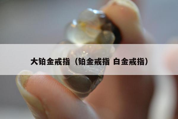 大铂金戒指（铂金戒指 白金戒指）