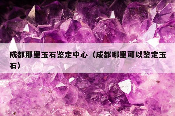 成都那里玉石鉴定中心（成都哪里可以鉴定玉石）