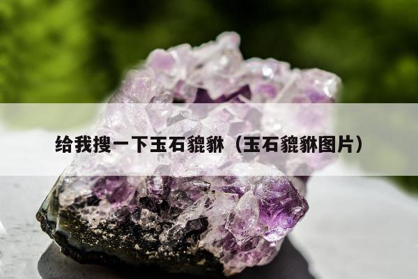 给我搜一下玉石貔貅（玉石貔貅图片）