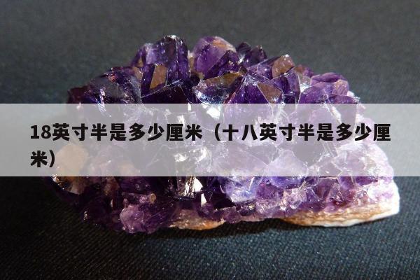 8英寸半是多少厘米（十八英寸半是多少厘米）"