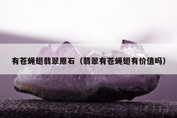 有苍蝇翅翡翠原石（翡翠有苍蝇翅有价值吗）