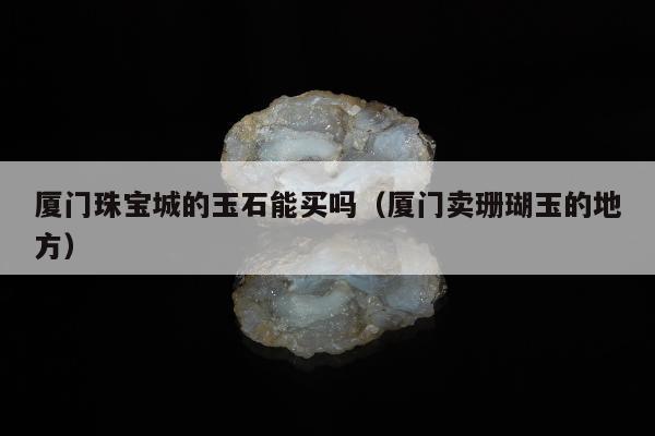 厦门珠宝城的玉石能买吗（厦门卖珊瑚玉的地方）