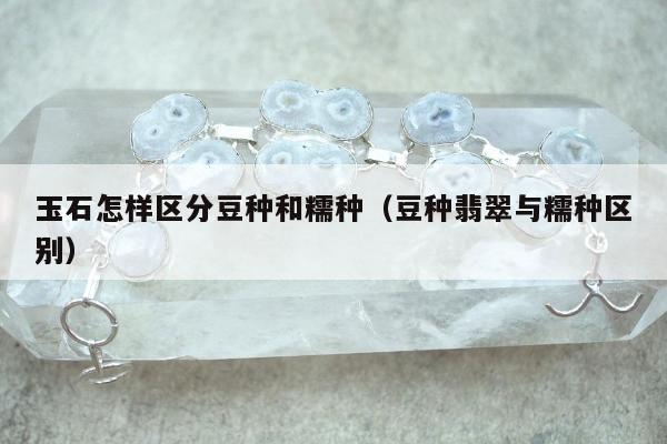 玉石怎样区分豆种和糯种（豆种翡翠与糯种区别）