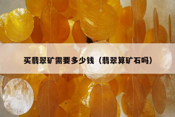 买翡翠矿需要多少钱（翡翠算矿石吗）