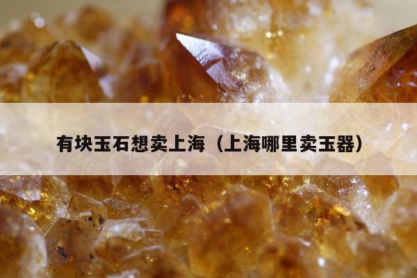 有块玉石想卖上海（上海哪里卖玉器）