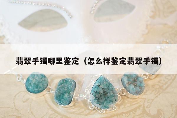 翡翠手镯哪里鉴定（怎么样鉴定翡翠手镯）