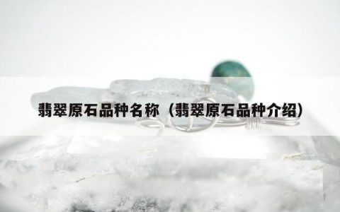 翡翠原石品种名称（翡翠原石品种介绍）