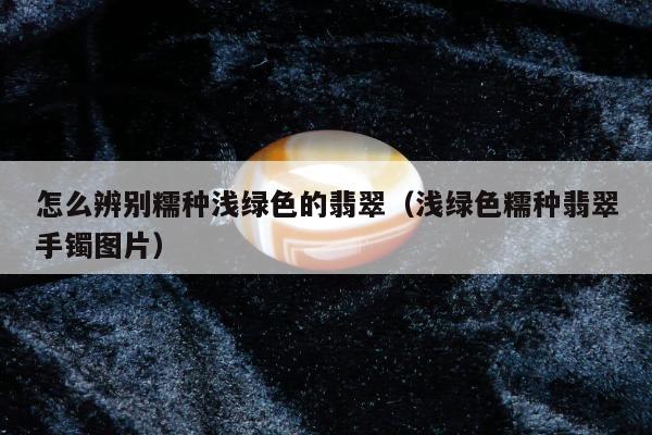 怎么辨别糯种浅绿色的翡翠（浅绿色糯种翡翠手镯图片）