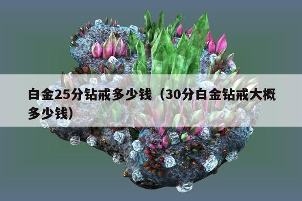 白金25分钻戒多少钱（30分白金钻戒大概多少钱）