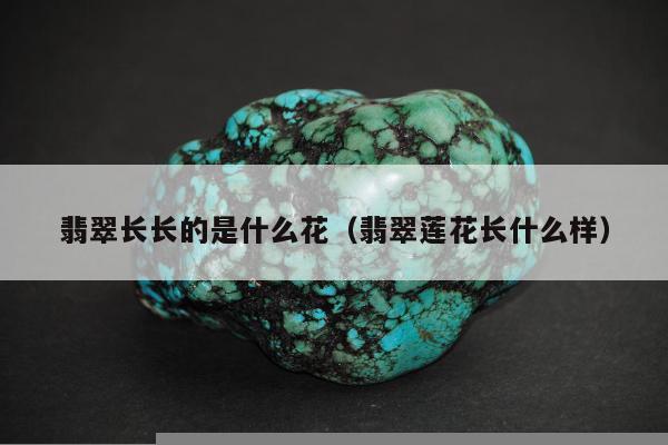 翡翠长长的是什么花（翡翠莲花长什么样）