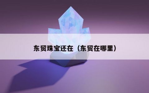 东贸珠宝还在（东贸在哪里）