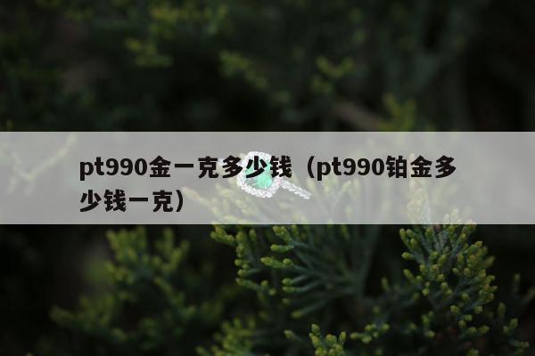 pt990金一克多少钱（pt990铂金多少钱一克）